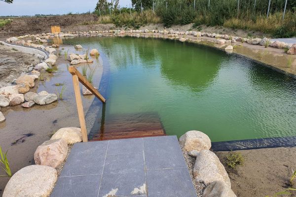 Firma Görtzen in Viöl - Teich mit Garten und Treppe